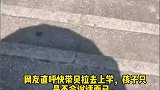 边牧想下水游泳主人却说“太晒了”，边牧转身一个举动让人意外