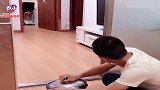 主人让狗狗赛文陪自己下象棋，赛文：没点技能狗都不好当，太难了