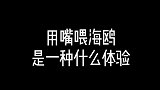 用嘴喂海鸥是种什么体验？小姐姐胆子真大，真怕它一脚踩你脸上！