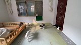 降温了，妈妈亲手给猫咪缝制过冬棉被