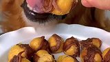 这个肉缠蛋黄，太香了吧