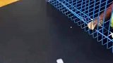 这是一只上过学的鹦鹉吧