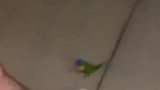 一女子出院后不到一小时，再次入院