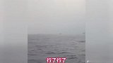 大陆船只回呛台湾“海巡署”：别老是你国你国的 台湾省就是台湾省