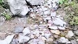 男子在山间发现含羞泉，只要大喊一声水流就会消失