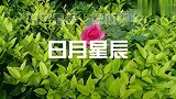 对外人好对老婆不好的四个男人，来看看有你吗？