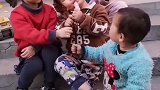 二哥这小日子过的是多少人羡慕的