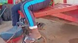 不得不说这想法确实不错