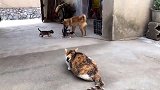 把距离卡得死死的