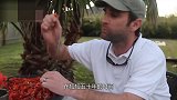 中国吃货遇到对手？因为它实在太嚣张 逼到人们花钱处理