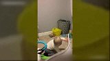 萌宝宝，你这是准备去当卫生纸大侠吗看你妈妈不吵你！