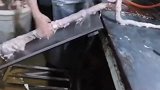 老人说的都是真的，看见路边摊的加工过程，你还敢吃吗