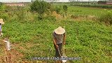 盗墓团伙盗掘武惠妃墓，盗走墓中27吨国宝，大量文物流失海外！