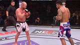 UFC-14年-UFC182前瞻：塔瓦雷斯精彩对战集锦-专题