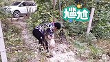 你们这样做真的好吗？都是种地的老百姓，为什么不能和睦相处
