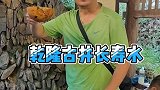 湖南怀化通道竽头古侗寨