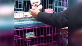 希望找个好人家