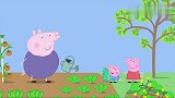 小猪佩奇：佩奇什么都喜欢吃，一点都不挑食，特别好养活！