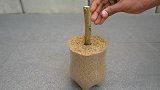一根树枝，一半香蕉，插一起，埋土里，这样繁殖树苗能成功吗？