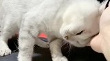 这个是我最开心的时候了