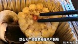 老板，你家螃蟹这么老大，不赔钱吗