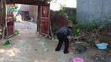 外嫁闺女天天回家说嫂子坏话，母亲却处处维护嫂子，结局感动