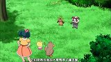 宠物小精灵：小女孩质问哈力栗，打我的宝可梦干嘛？