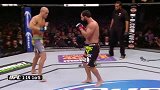 UFC-15年-UFC189自由格斗：罗比劳勒vs亨德里克斯二番战-专题