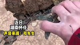 子水库中找到两年前丢的无人机。什么都坏了，内存卡还能用