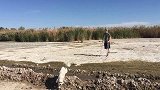 拐杖都架上了，这波恶搞太牛了，真的是没谁了！