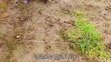 建造迷你花园豪宅，心目中的理想生活
