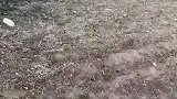 这就是在靶场需要戴护目镜的原因