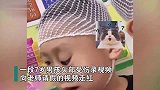 哭笑不得！萌娃头受伤录视频向老师请假，得知录完后“原形毕露”