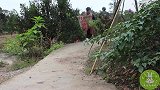 桃子姐去舅舅家摘橘子，回到家后用橘子做罐头，看着都想吃