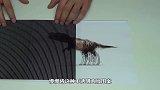 莫尔条纹是什么？当直纹光栅经过图案时，有趣的现象发生了