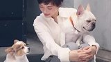 孙俪管它叫丫头，说说它事戏精