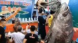 198斤重“龙趸鱼”被当作“石斑鱼”拍卖 渔业部门及时制止