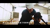 暖心！80后小哥为猫狗制作轮椅，8年让400只小狗重新奔跑