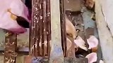 给猪脚脱指甲，这脱鞋机器不错