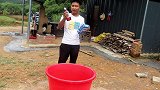狗狗领养回来一个多月了，小邓经常帮它们泡药浴，狗狗也很配合