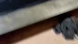 前面的小辫剪了，就更成熟了