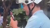 都是凑热闹，你咋凑那么近