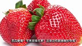 7个普通人吃不起的昂贵水果，最贵的140万一碗，有钱你会买吗