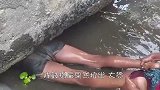 河边石缝传出异响，大胆小伙直接钻了进去，这是在抓什么？