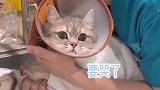 疼的叫出声时，我心都化了