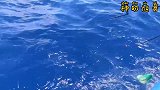 小伙赶海钓鱼这操作真厉害