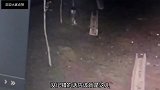 爆笑段子你昨晚去干了些什么事情，自己心里不清楚吗