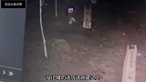 爆笑段子你昨晚去干了些什么事情，自己心里不清楚吗