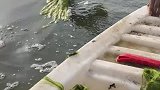 小伙用电钻捞水藻，没想到还能这么玩