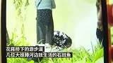 高考生家长网购石斑鱼河边放生，寓意“鲤鱼跳龙门”